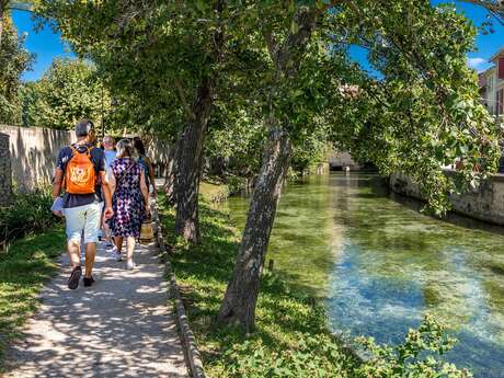 Balade en bord de Sorgue