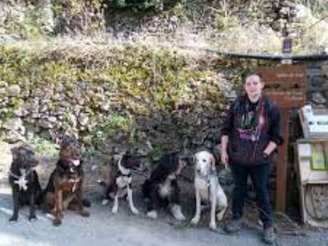 Educatrice canine et garde-chiens - Vallée de la Roya