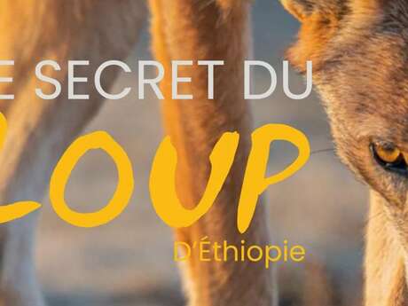Projection de documentaire : " Le secret du loup d'Ethiopie "