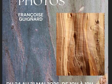 Exposition photo : de l'Art dans les arbres