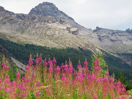 Le pic de Rochebrune