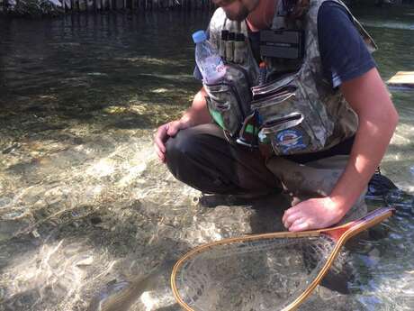 Nicolas Fishing