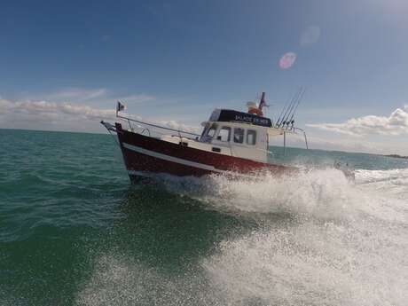 1-stündige Entdeckungsfahrt auf dem Meer auf einem schnellen und komfortablen Sportboot von Île de Ré Nautisme