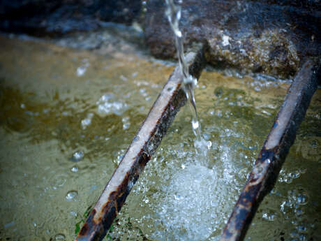 Basins and Fountains