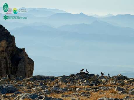 À la découverte des espèces de haute altitude