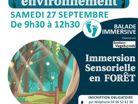Immersion sensorielle en forêt