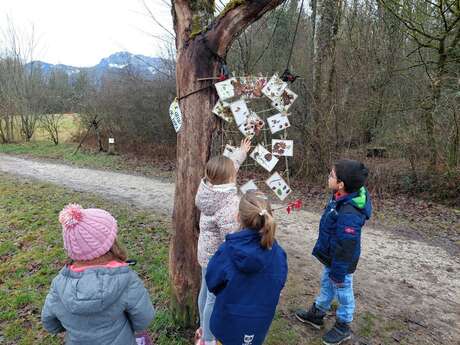 Sur la piste de la sentinelle de la forêt ; entre connaissances naturalistes et émotions