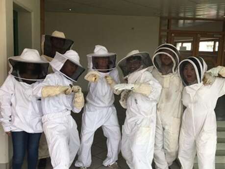 Association Un rêve d'abeilles