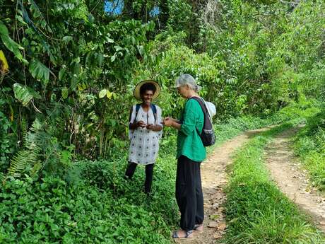 Hiking in Koindé with Mêrêsaaba rando