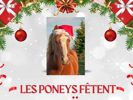 Les poneys fêtent Noël