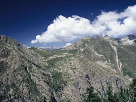 Fête transfrontalière organisée par le Parc du Mercantour