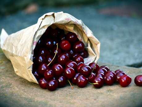 Les Fruits de Saint-Martin