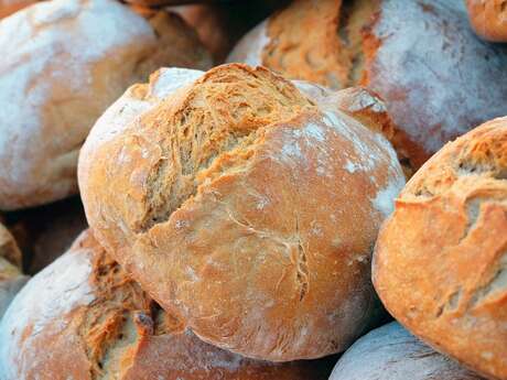 Atelier pain et visite du Moulin
