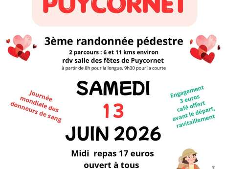 Randonnée pédestre