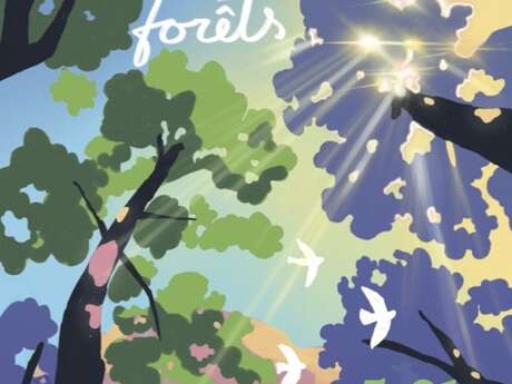 Nuits des forêts - Là où le Bois du Pic murmure