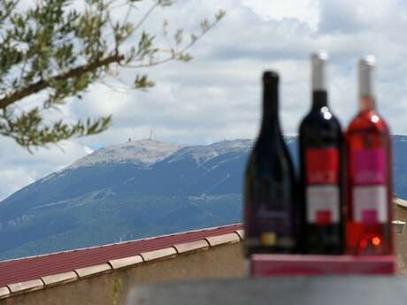 Cellar tour - Domaine Bernard