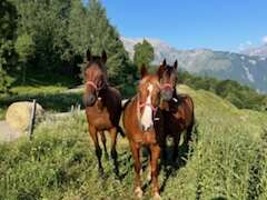 Equitazione - Centro ippico di Les 2 Alpes Prej' Alpes