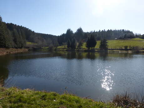 Aire de pique-nique de Saint-Romain-les-Atheux - Le Pêcher