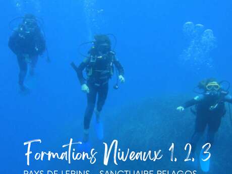 Formation niveaux de plongée sous-marine