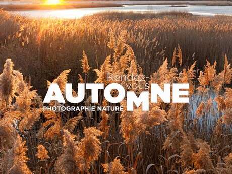 Rendez-vous Automne  - Photographie Nature