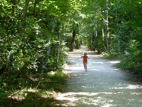 L'Allée Royale (labellisée Tourisme & Handicap)