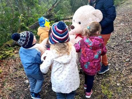 Ateliers Forest’cool au long des saisons