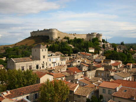 Cycle «Il était une fois Villeneuve : le quartier du Bourguet»