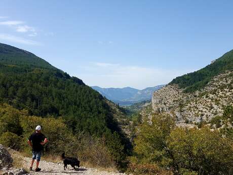 Forêt Domaniale de Beynon