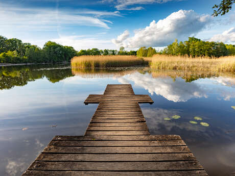 Etangs de Crosagny