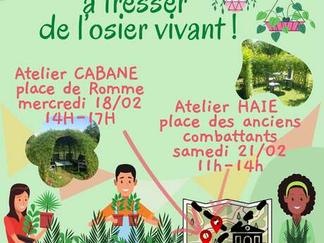 Atelier osier vivant
