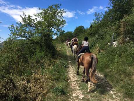 Equestrian route Ceyzériat - Izernore with variant