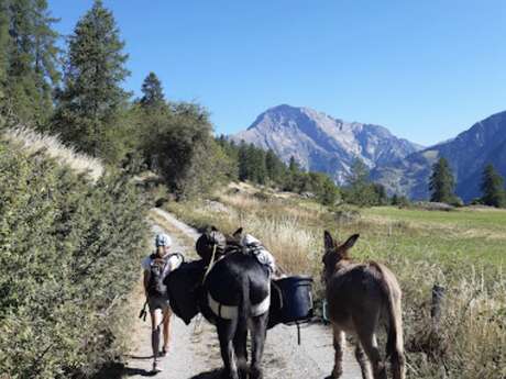 Randonnée avec les ânes - Arbraventure