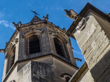 Visite guidée : Carpentras secret