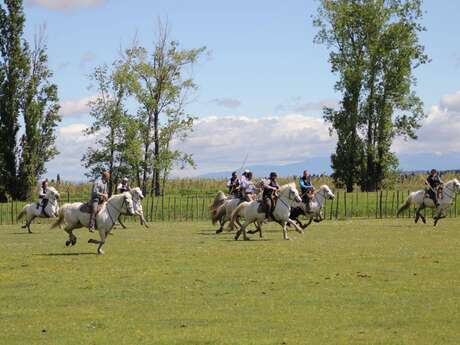 À la rencontre des savoir-faire des Alpilles :  La Manade Caillan
