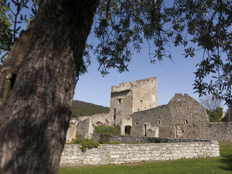 Le Château Peyruisien