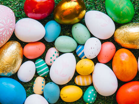 Chasse aux œufs