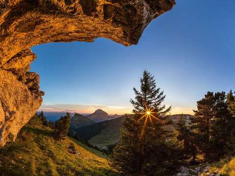La faune des grottes et falaises