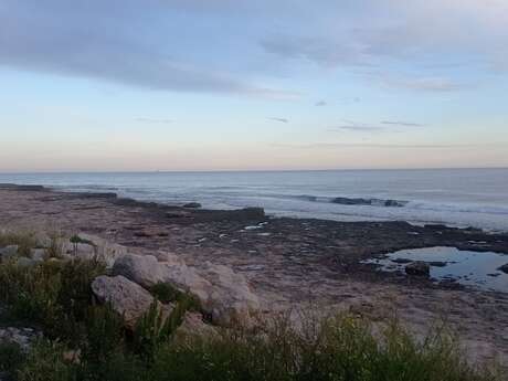 Eco-hiking and litter collection: take action for our coastline