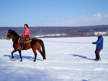 Luger tiré par un poney/Skier tiré par un cheval