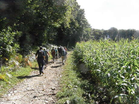 Association Marche Nordic'Evasion