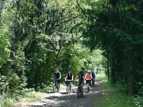 sentier VTT : boucle des Ilettes