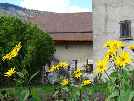 Les Jeudis animés de la Maison du Mulet : Vieux métiers