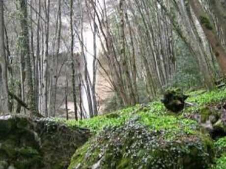 Cascade du Furet