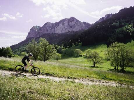 Circuit n°15 Le Mont Bénand - VTT FFC pays d'Evian balcon du Léman
