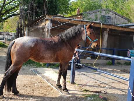 Poney Club de la Clappe