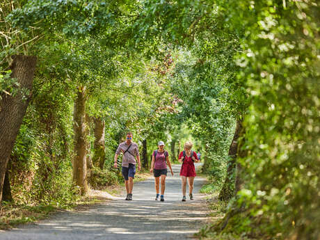 Chemin de Saint-Jacques de Compostelle