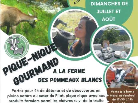 Pique-nique Gourmand Fermier à la Ferme des Pommeaux Blancs