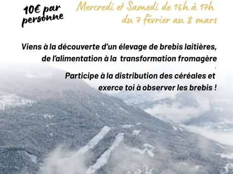 Découverte de la ferme - Réallon