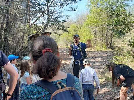 Balade naturaliste "Sur les traces du loup"