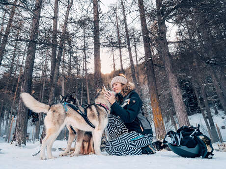 Azak Mushing Azak Mushing